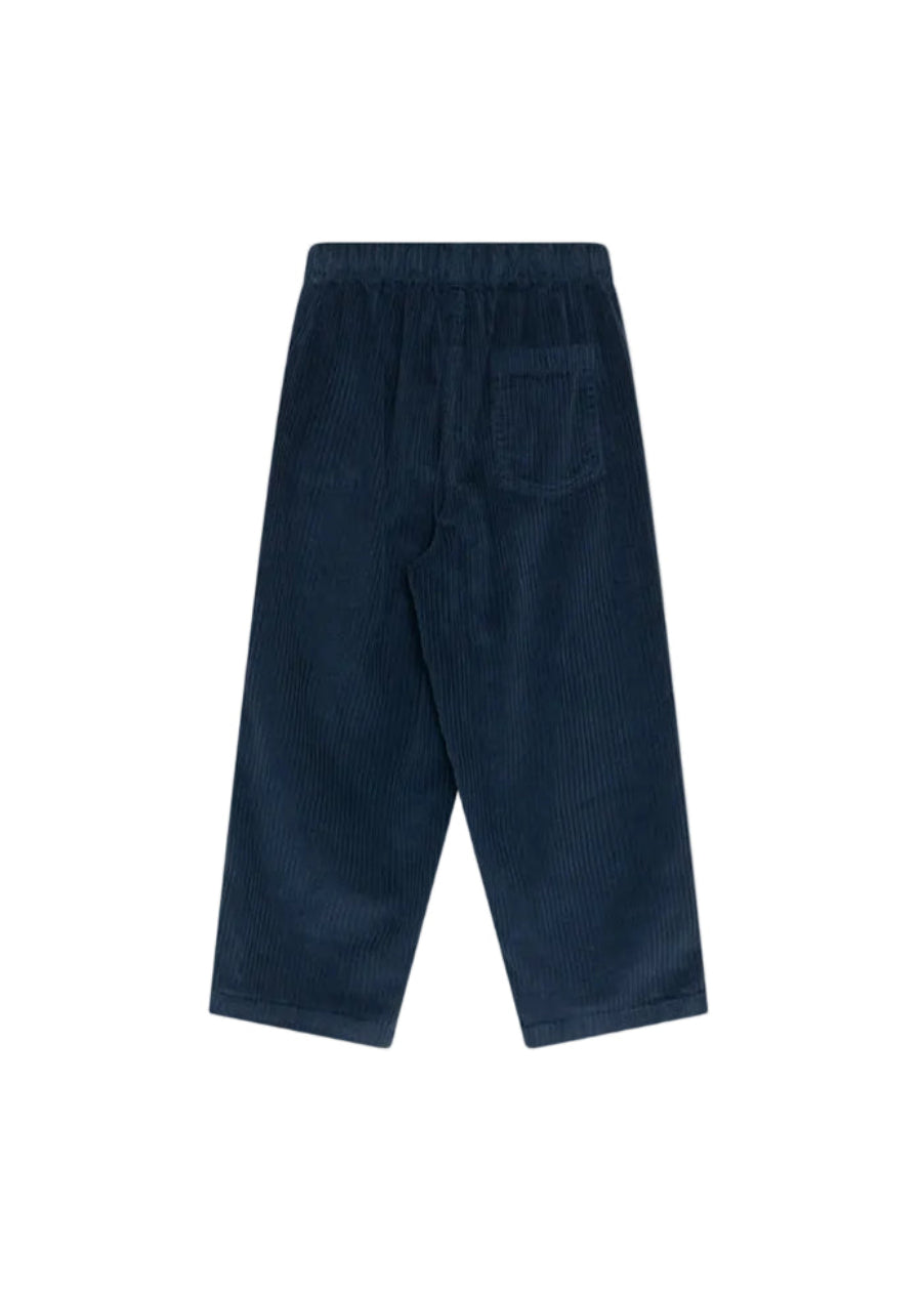 Elio Corduroy Trouser in Black Iris